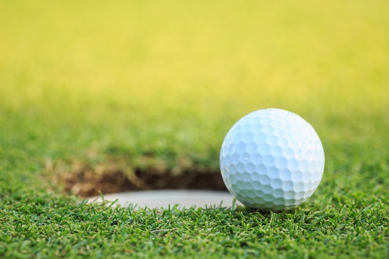 Turf Maintenance